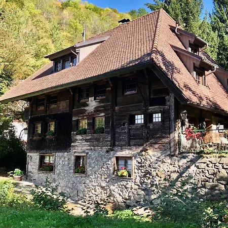 Haus S' Donisls * Münstertal